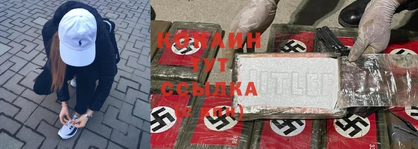 ALPHA-PVP Богородицк