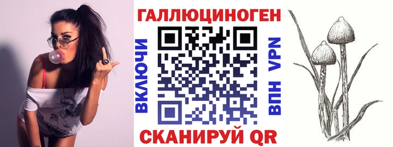 Псилоцибиновые грибы Magic Shrooms  гидра ССЫЛКА  Шали  сколько стоит 